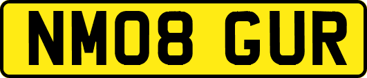 NM08GUR