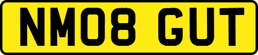 NM08GUT
