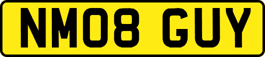 NM08GUY