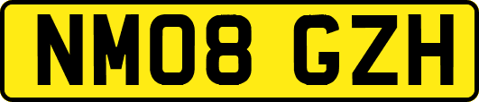 NM08GZH