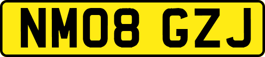 NM08GZJ
