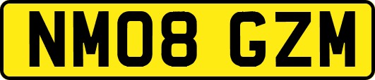 NM08GZM