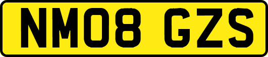NM08GZS