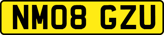 NM08GZU