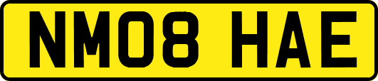 NM08HAE