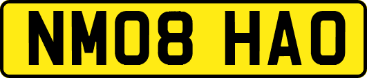 NM08HAO