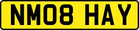 NM08HAY