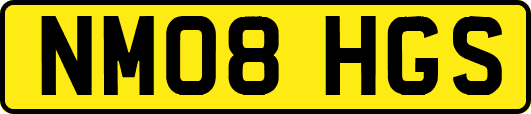 NM08HGS