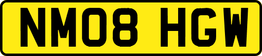 NM08HGW