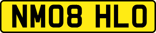 NM08HLO