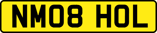 NM08HOL