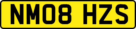 NM08HZS