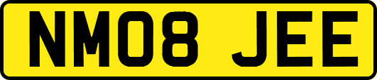 NM08JEE
