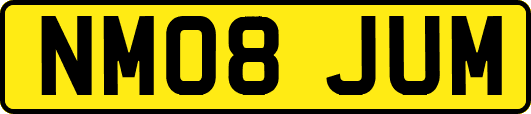 NM08JUM