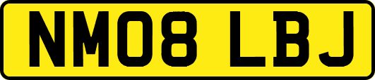 NM08LBJ