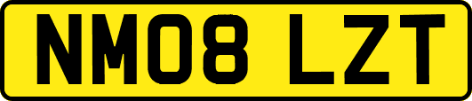 NM08LZT