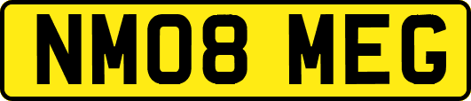 NM08MEG