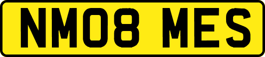 NM08MES