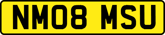 NM08MSU