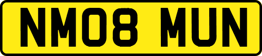 NM08MUN