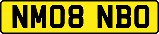 NM08NBO