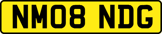 NM08NDG