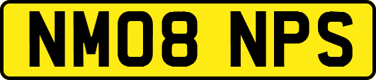 NM08NPS