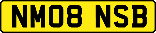 NM08NSB