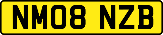 NM08NZB