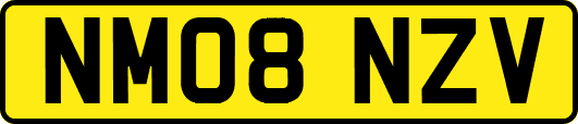 NM08NZV