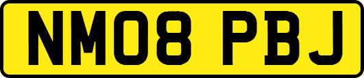 NM08PBJ