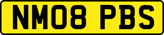 NM08PBS