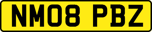 NM08PBZ