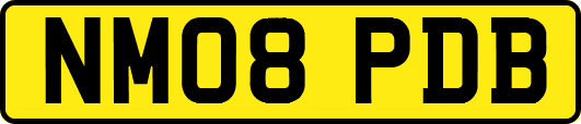 NM08PDB
