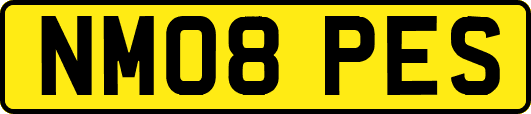NM08PES