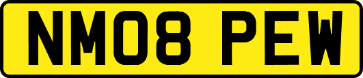 NM08PEW