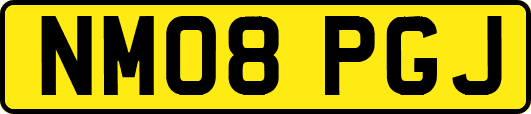 NM08PGJ