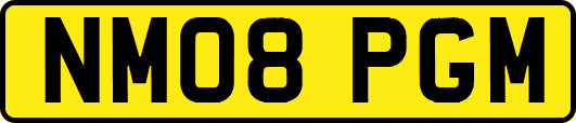 NM08PGM
