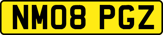 NM08PGZ