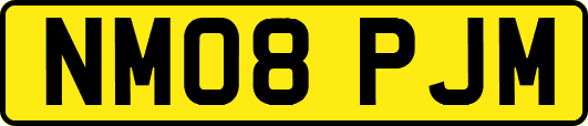 NM08PJM