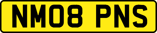 NM08PNS