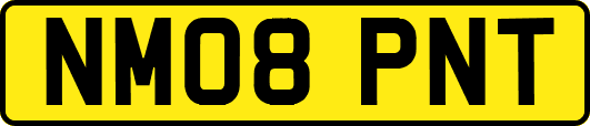 NM08PNT
