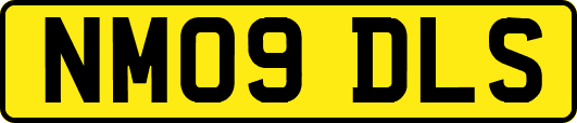NM09DLS