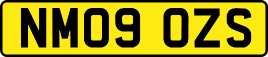 NM09OZS
