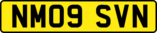 NM09SVN
