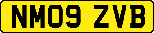 NM09ZVB