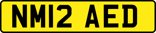 NM12AED