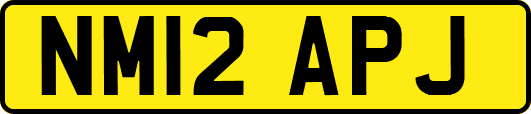 NM12APJ