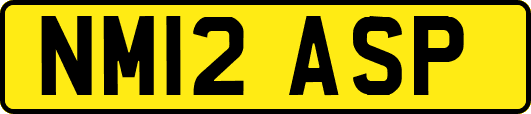 NM12ASP