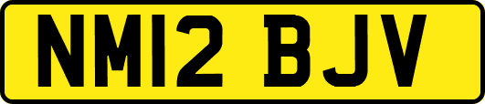 NM12BJV